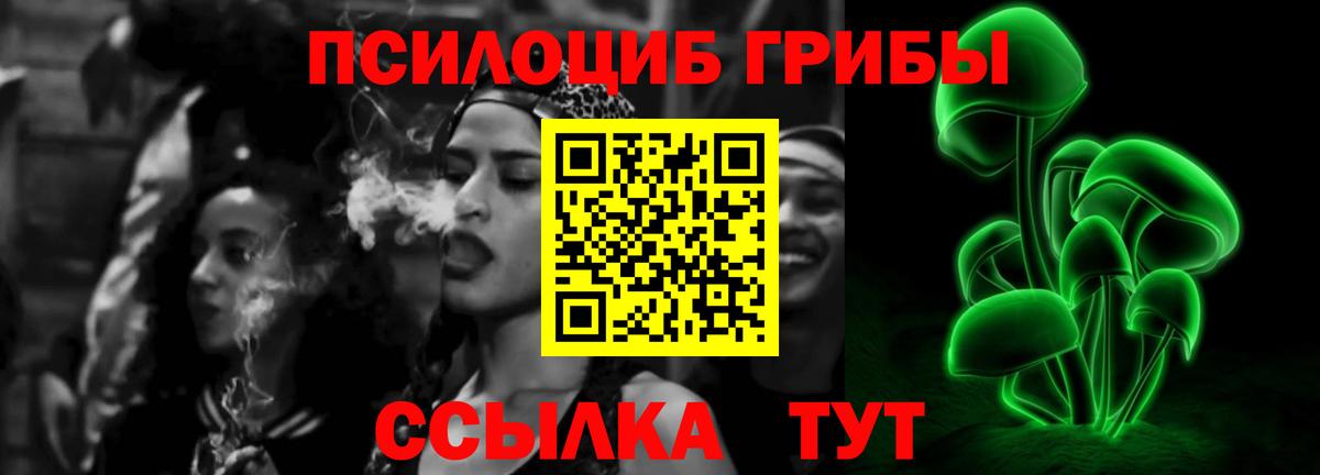 Галлюциногенные грибы Psilocybe Щёлково