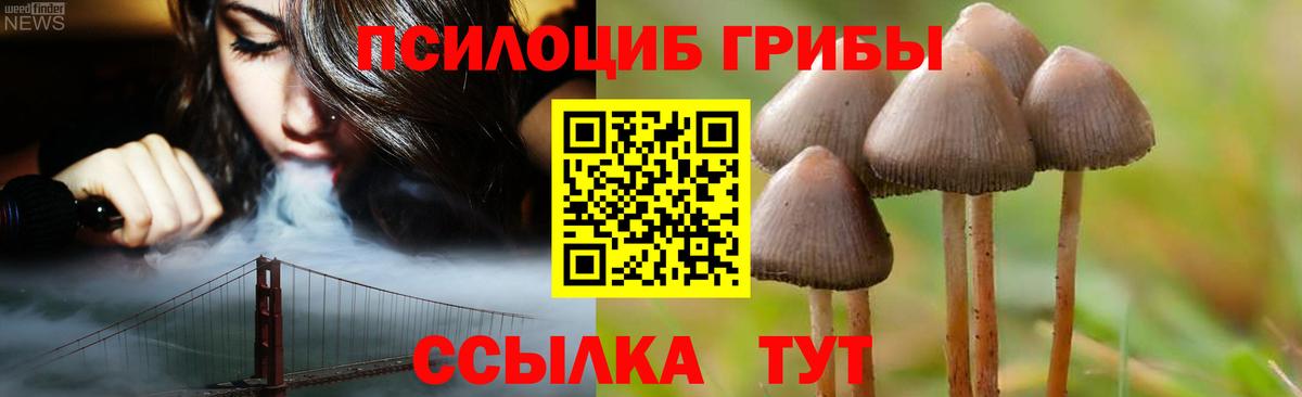 Галлюциногенные грибы MAGIC MUSHROOMS  Псилоцибиновые грибы Cubensis  Щёлково  Вход с VPN 